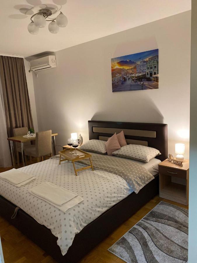 Apartman Ns Dan Centar ノヴィ・サド エクステリア 写真