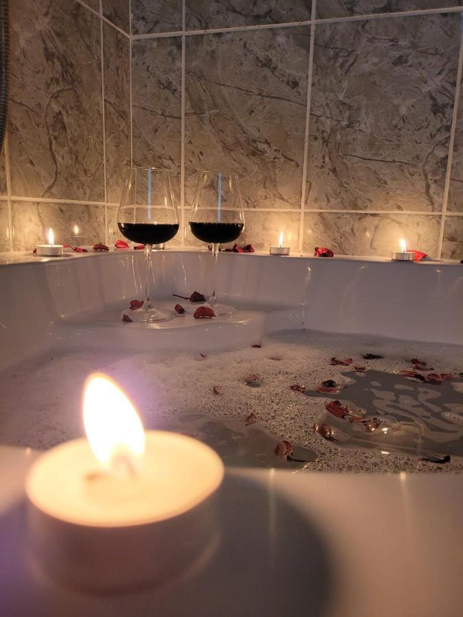 Apartman Ns Dan Centar ノヴィ・サド エクステリア 写真