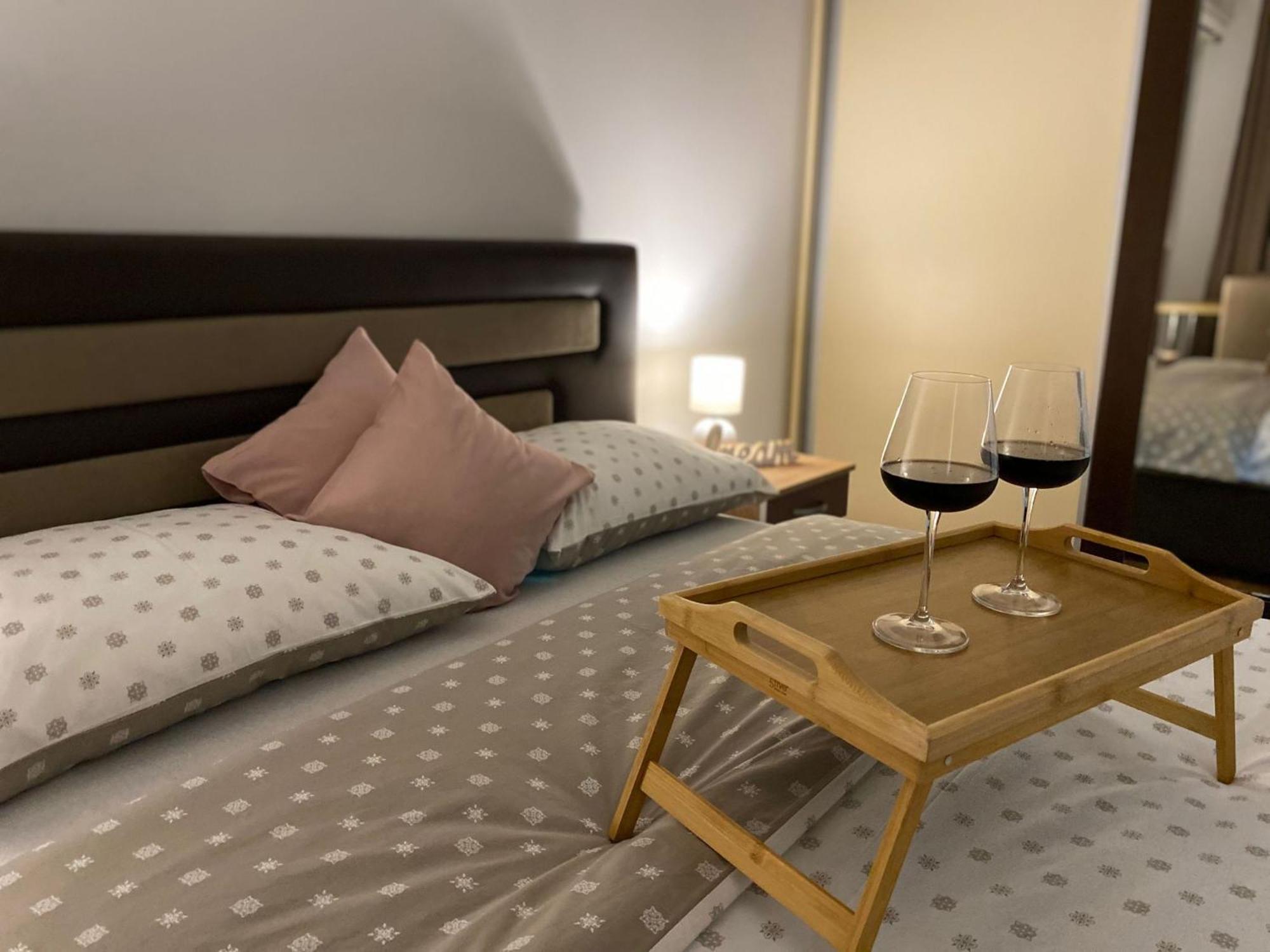 Apartman Ns Dan Centar ノヴィ・サド エクステリア 写真