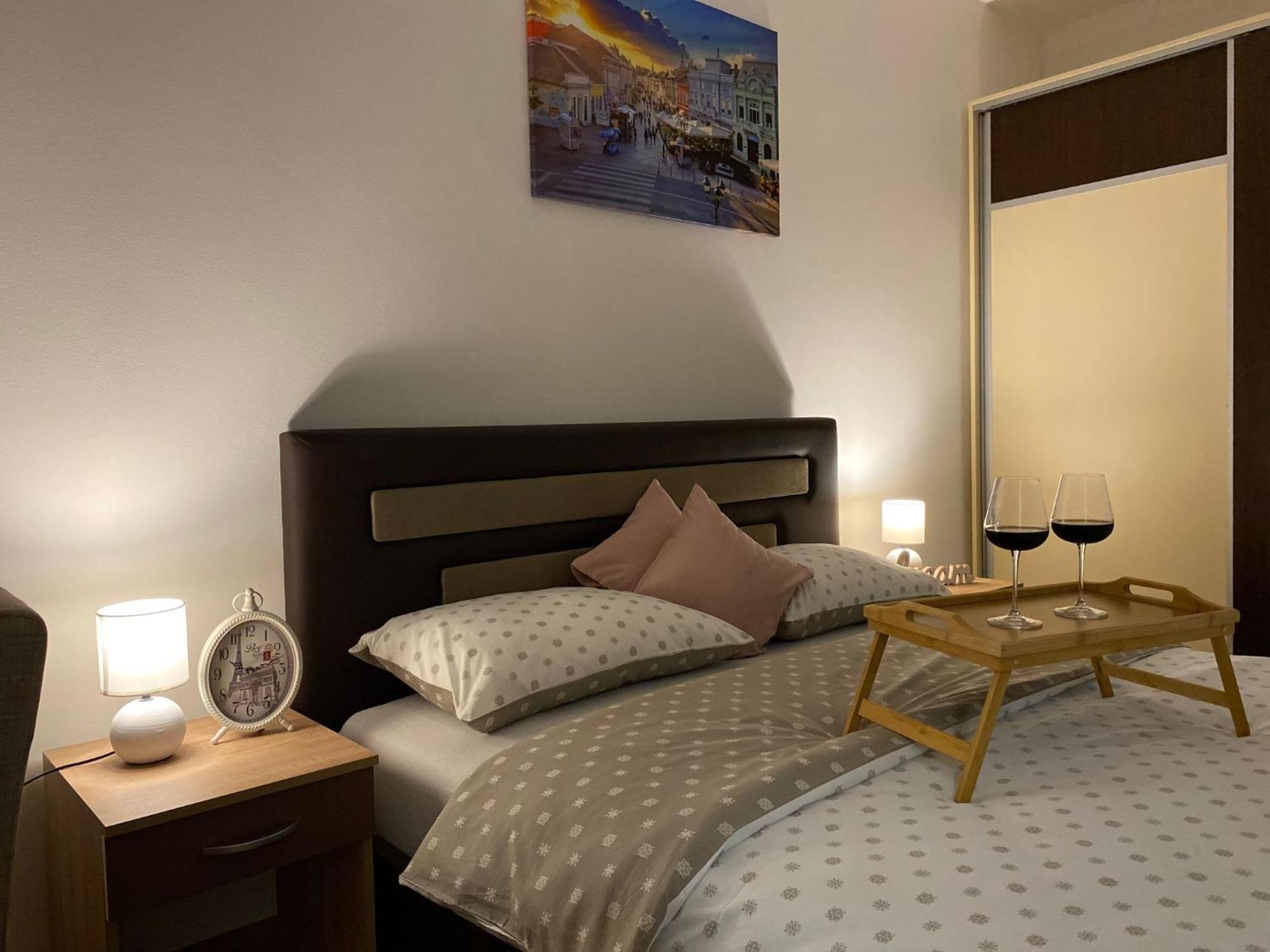 Apartman Ns Dan Centar ノヴィ・サド エクステリア 写真