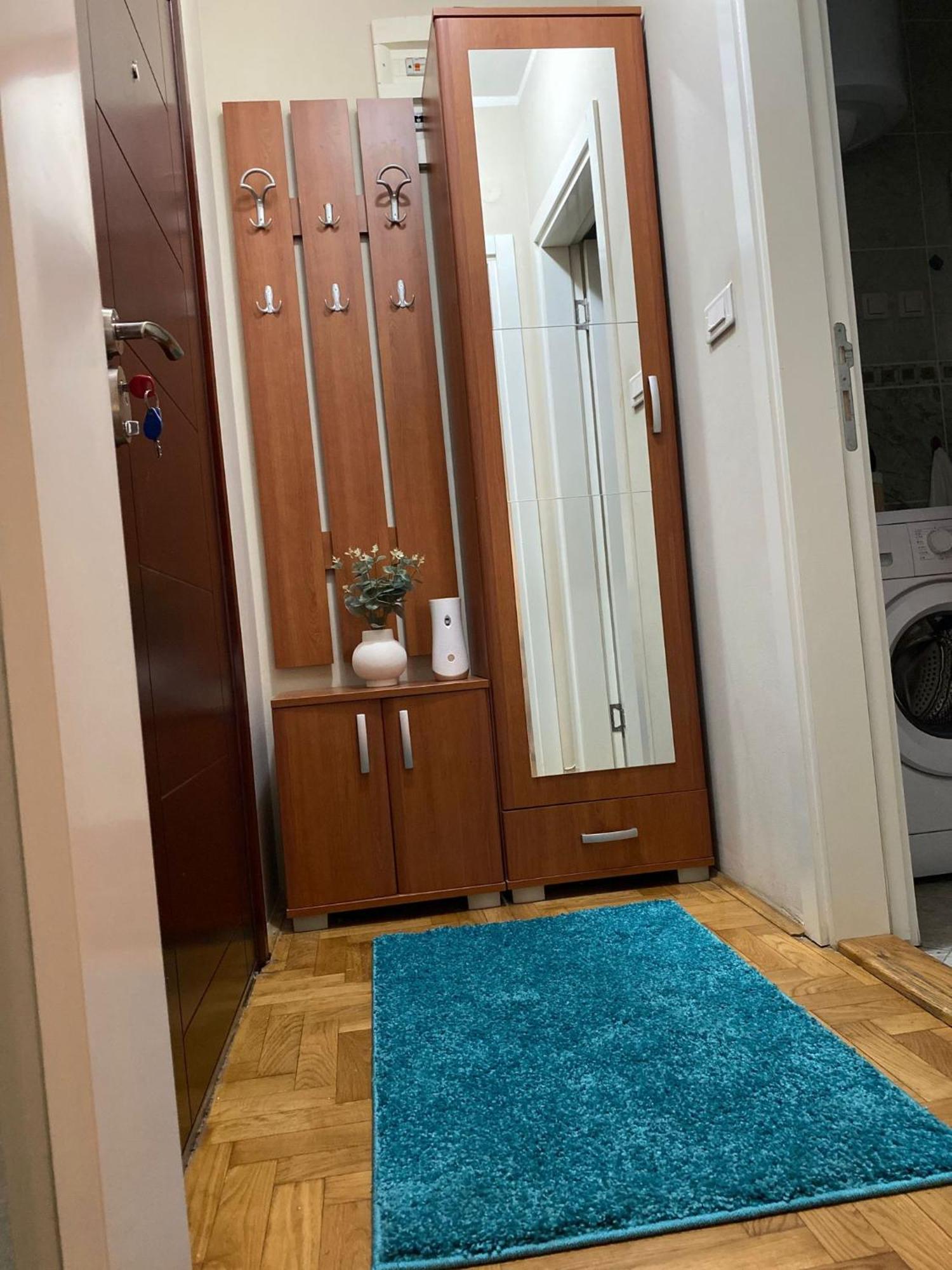 Apartman Ns Dan Centar ノヴィ・サド エクステリア 写真