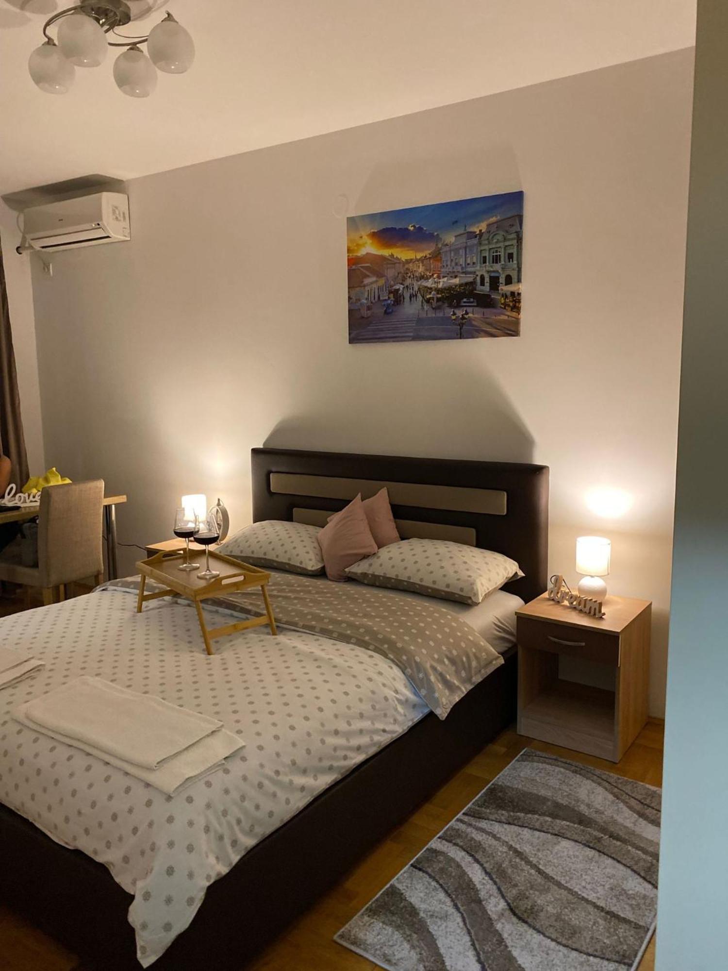 Apartman Ns Dan Centar ノヴィ・サド エクステリア 写真